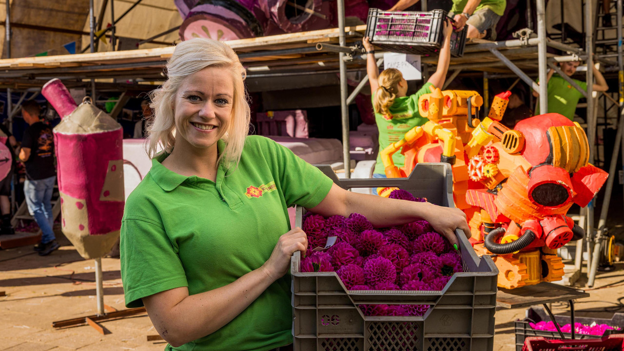 Corsokoorts në Sint Jansklooster backdrop