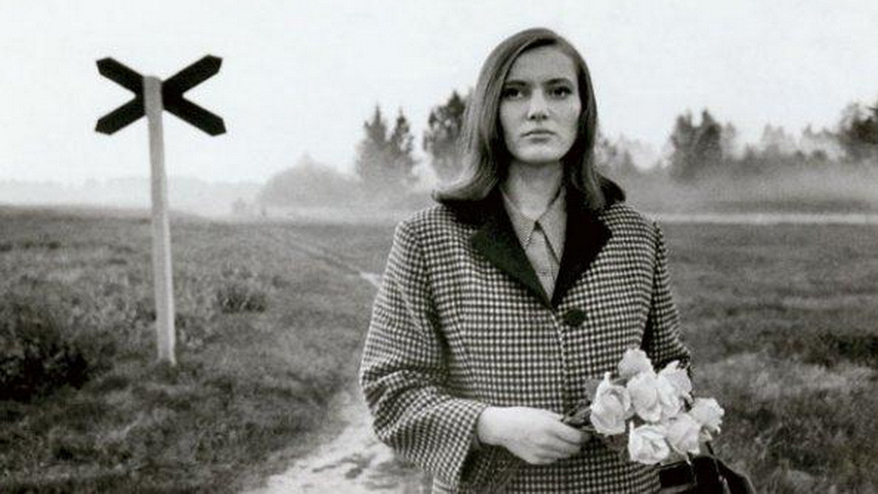 Pimedad aknad backdrop