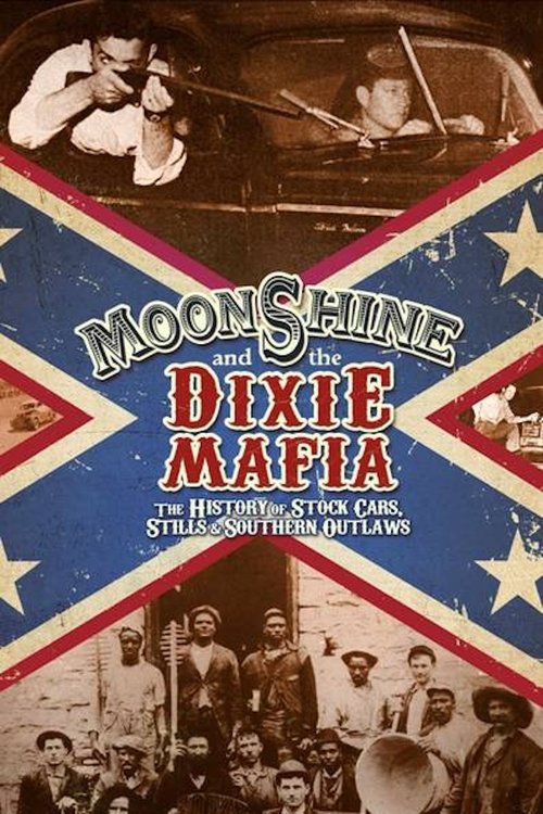 Alkooli dhe Mafia Dixie poster