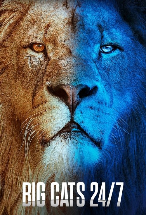 Mace të Mëdha 24/7 poster