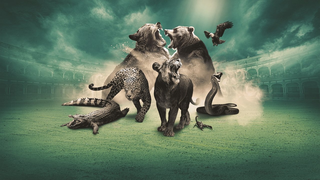 Gladiatorët backdrop