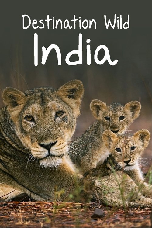 Destination Wild: India poster