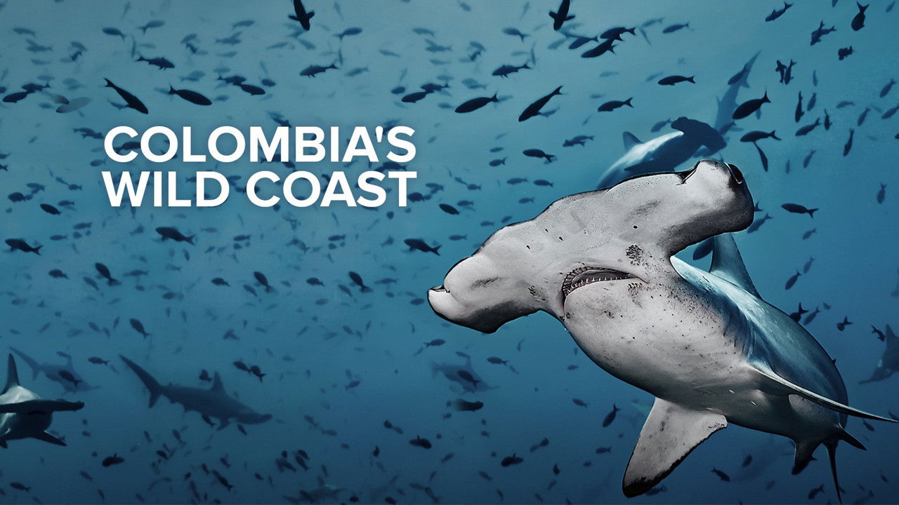 Bregu i Egër i Kolumbisë backdrop