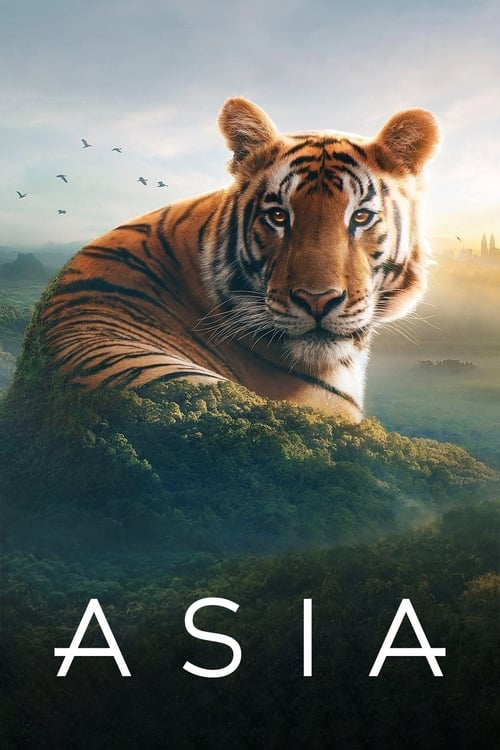 Azia poster