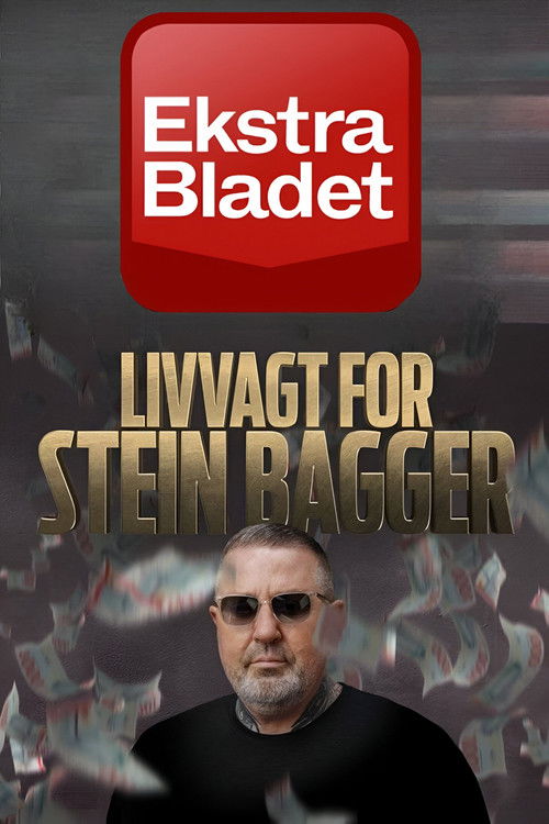 Livvakt për Stein Bagger poster