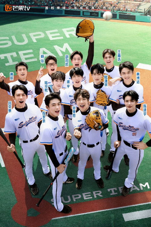 Ne të Mrekullueshëm poster