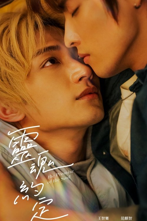 The Promise of the Soul poster