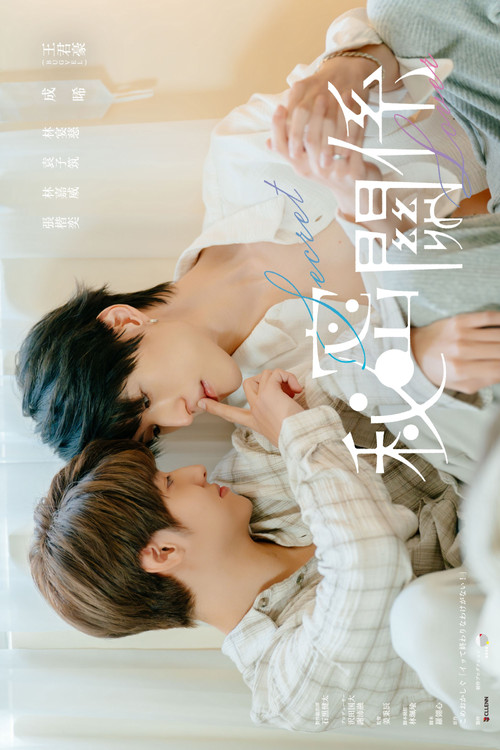 Dashnor i fshehtë poster