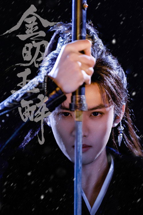 Dëborë e Artë poster