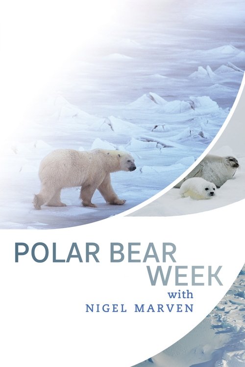 Java e Ursit Polar me Nigel Marven poster