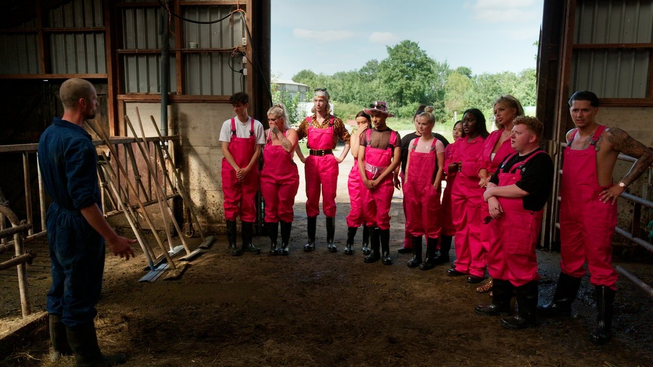 Këpucë në Bar backdrop