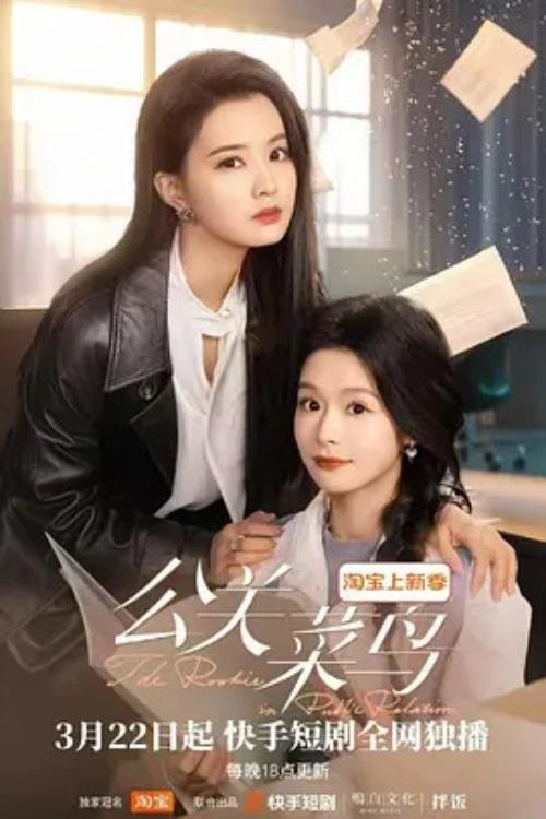 Novici në Marrëdhëniet me Publikun poster