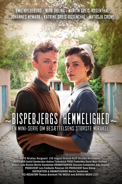 Sekreti i Bispebjergut poster