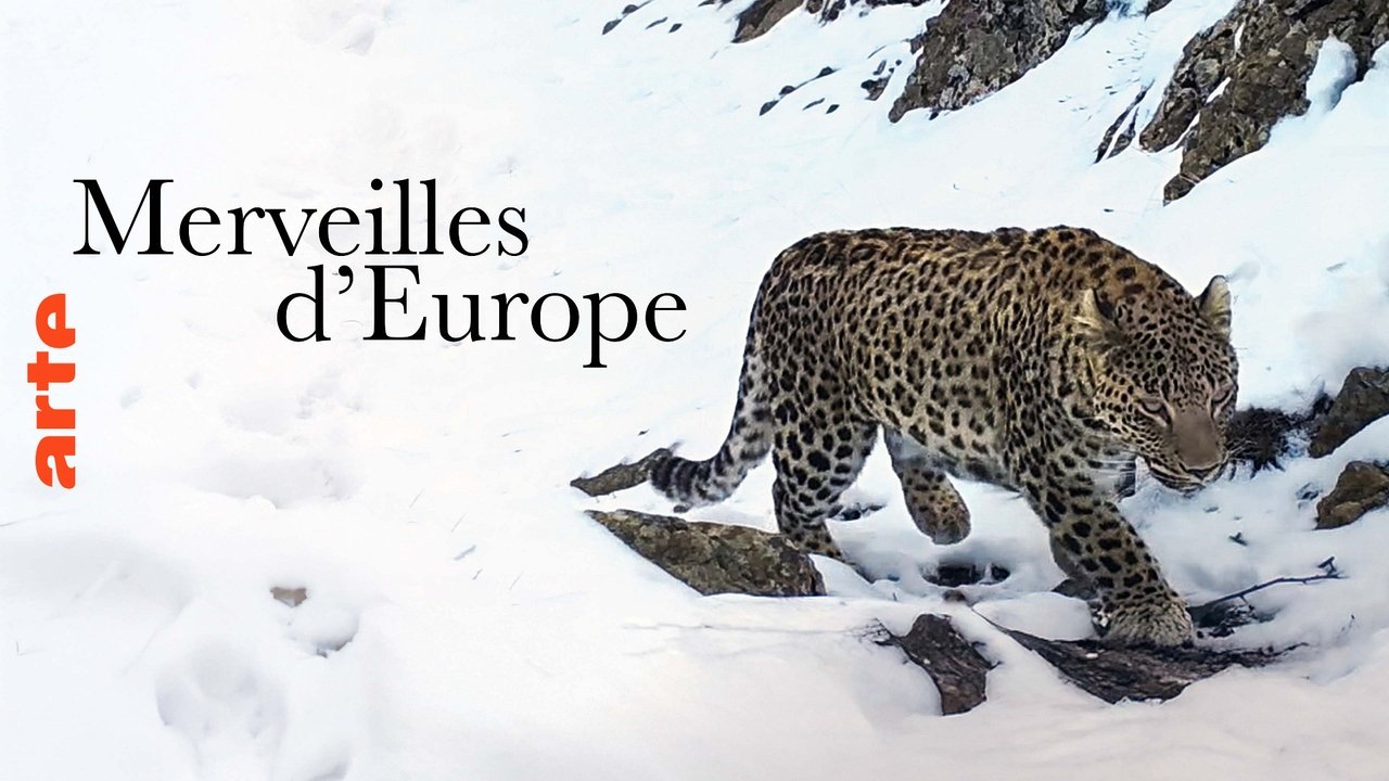 Mrekullitë e Evropës backdrop