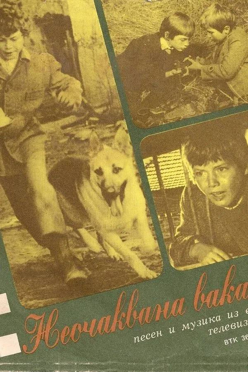 Vakalanca e paplotësuar poster