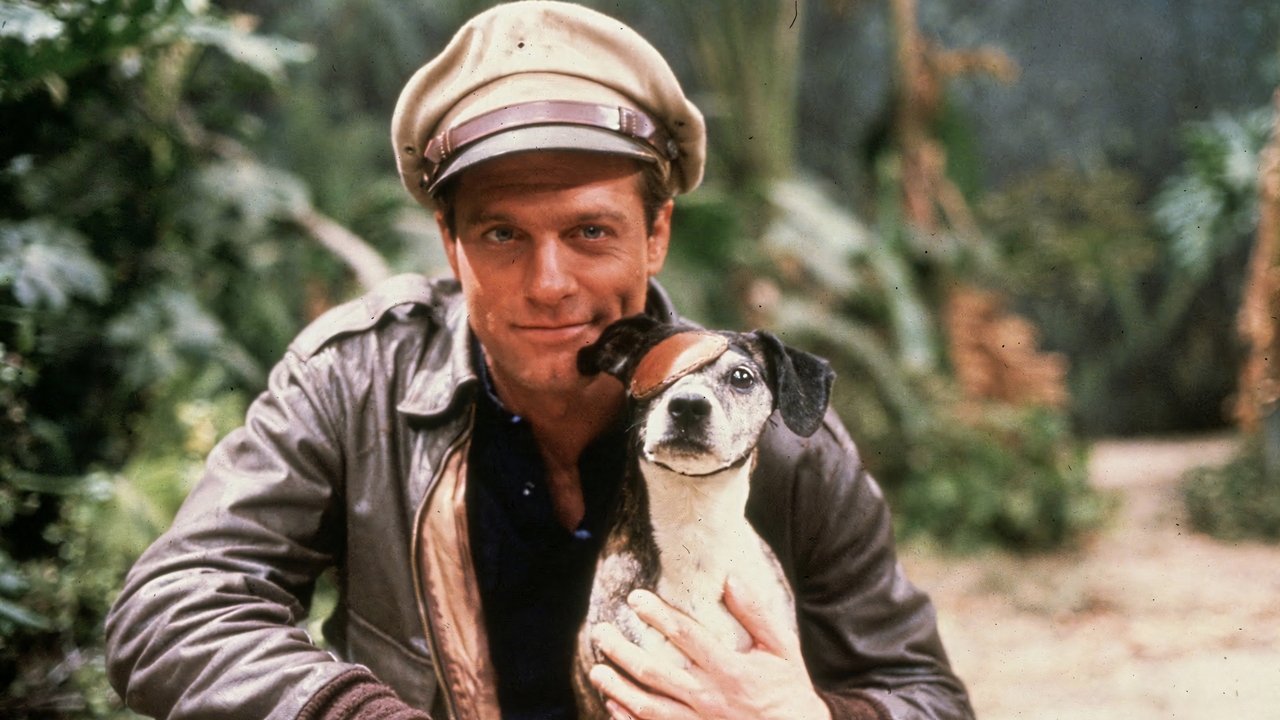 Tregimet e Majmunit të Artë backdrop