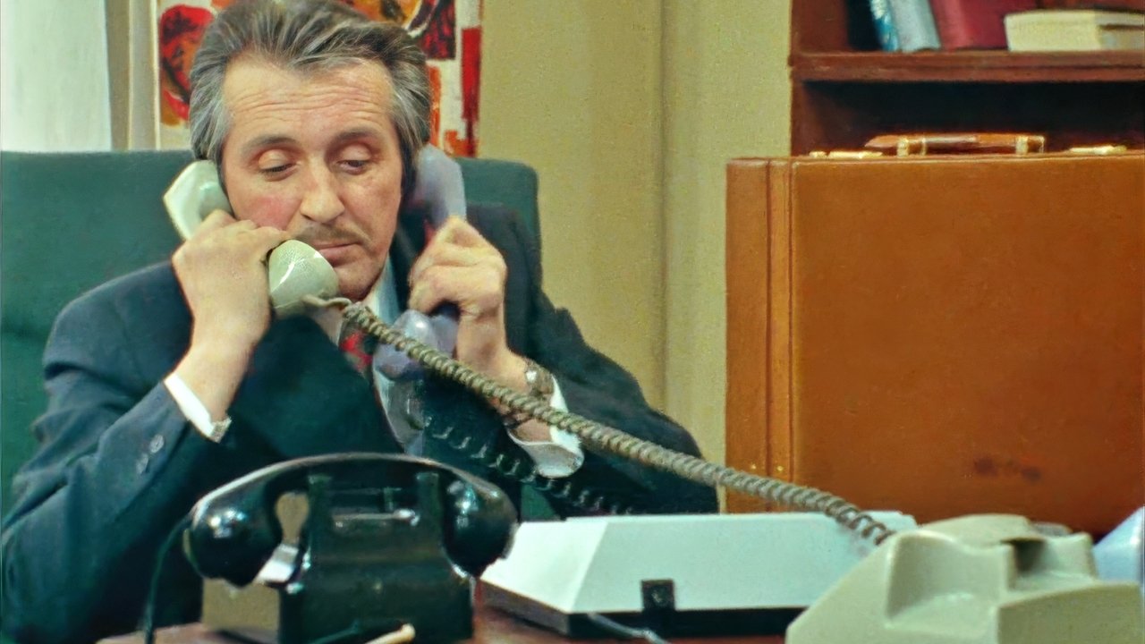 Çetrdesh vjeçari backdrop