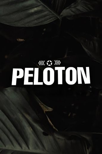 Pelotoni