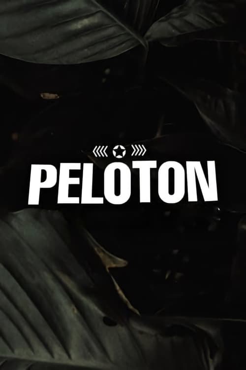 Pelotoni poster