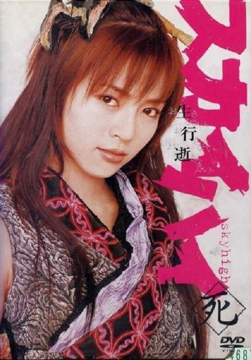 Lart në Qiell poster