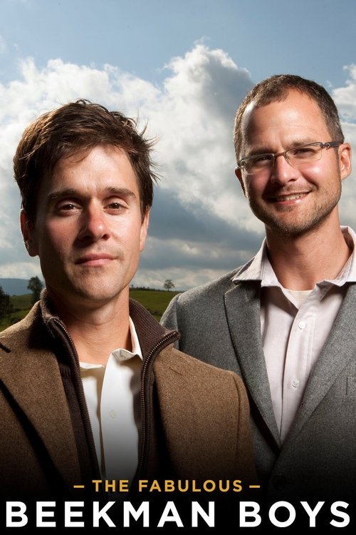 Djemtë e Mrekullueshëm Beekman poster