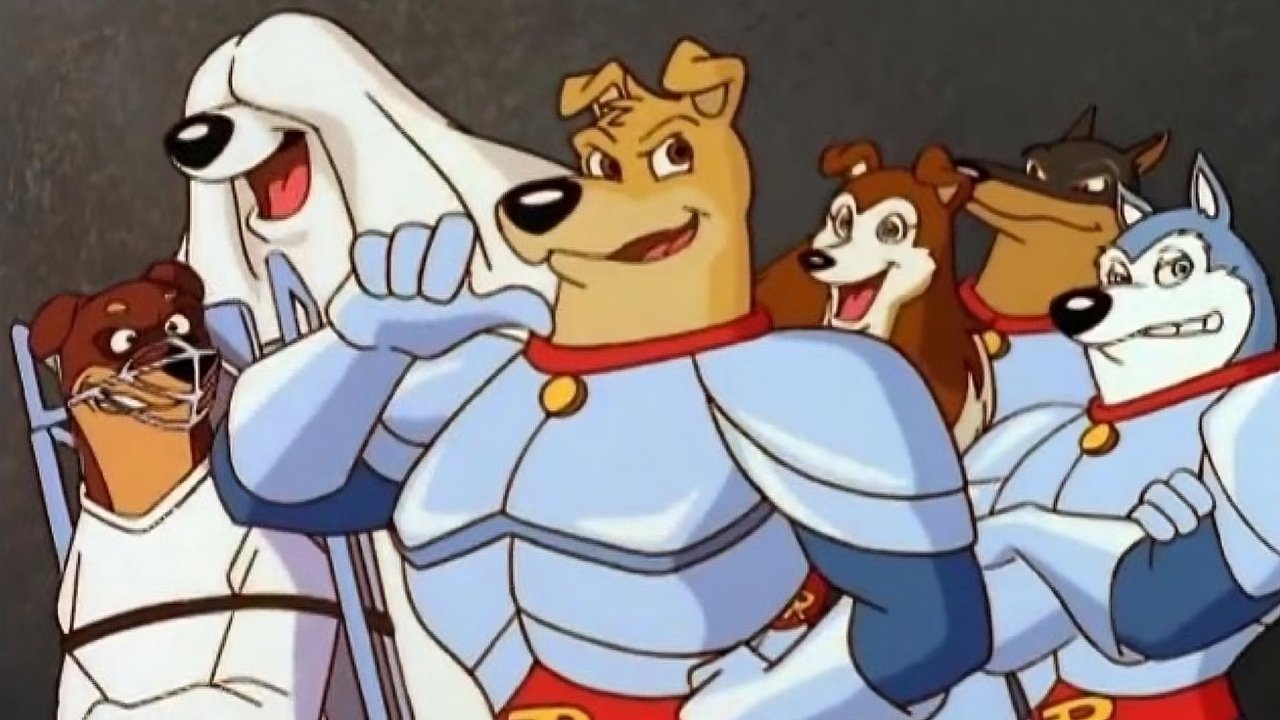 Roverët e Rrugës backdrop