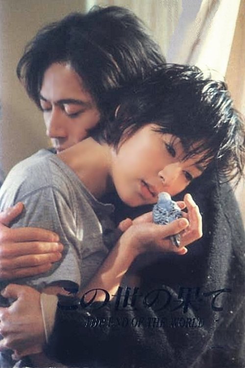 Fundi i Botës poster