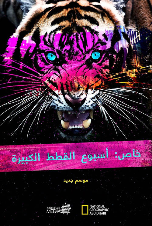 Koleksioni i Javës së Kafshëve të Mëdha poster