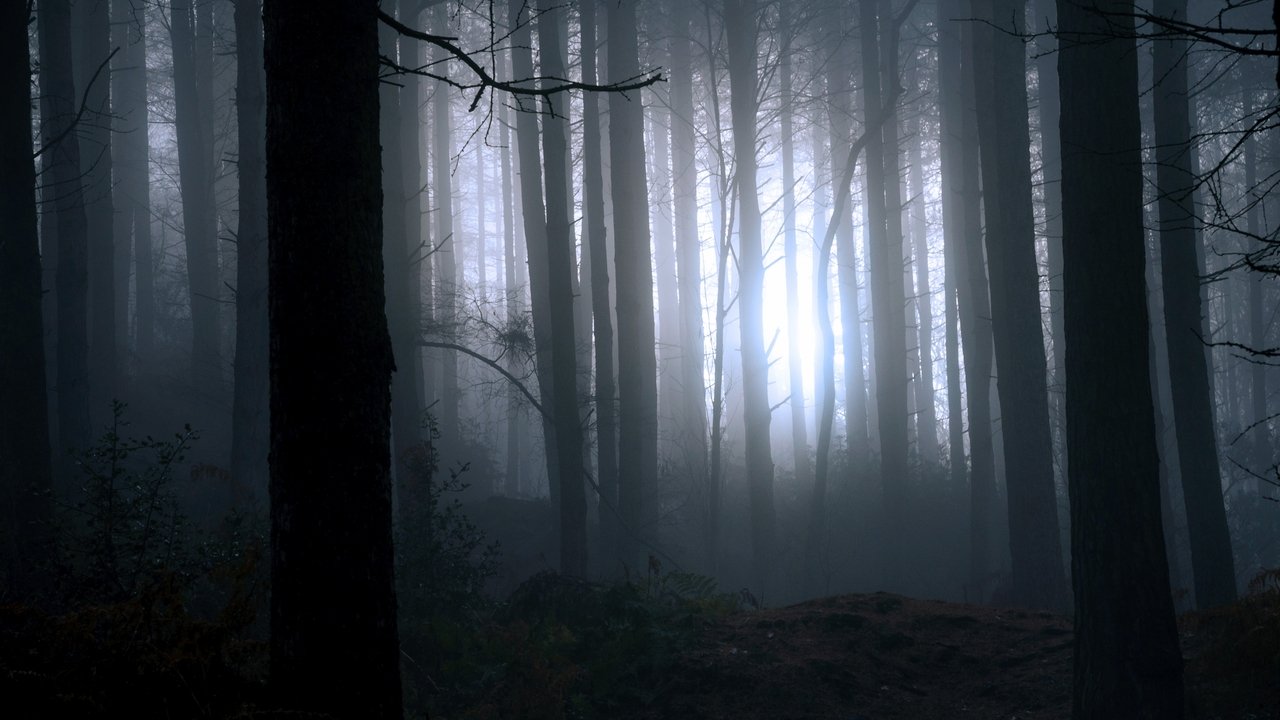 Gjetja e Bigfootit backdrop