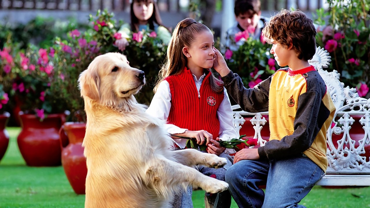 De Pocas Pocas Pulgas backdrop