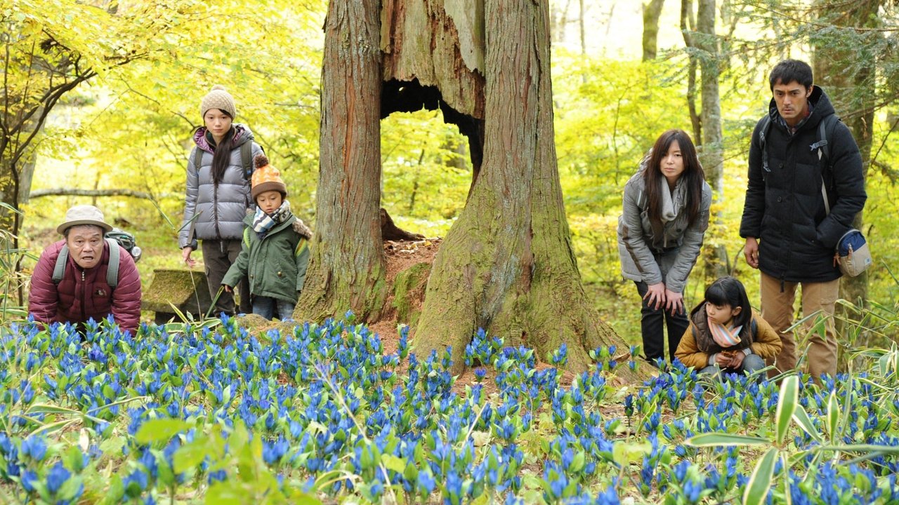 Duke Shkuar në Shtëpi backdrop