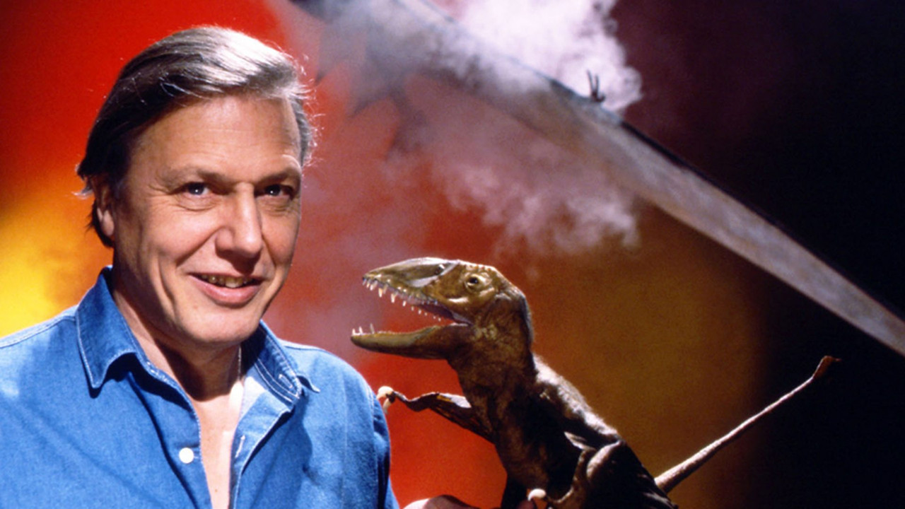 Bota Rreth Nesh backdrop