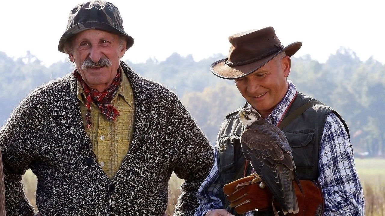 Hotel nën gjirafë dhe rhinoceros backdrop