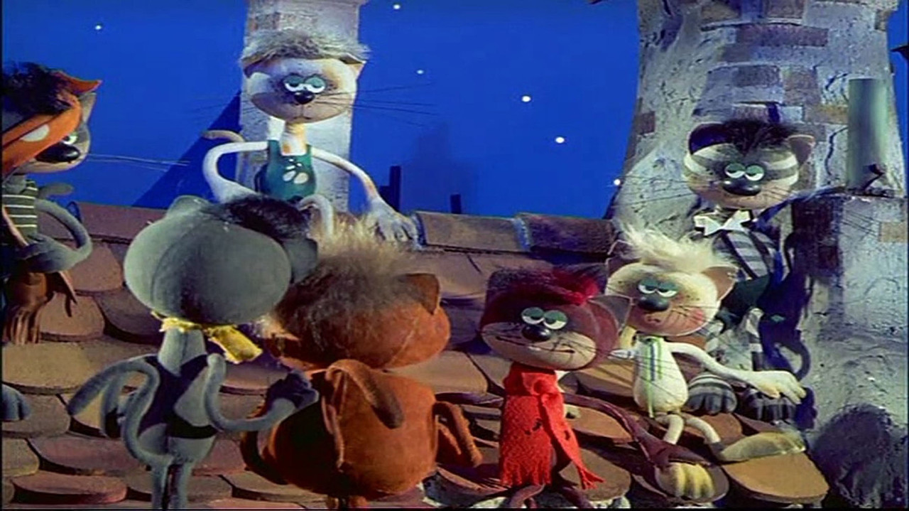 Mirr Murr a kandur backdrop