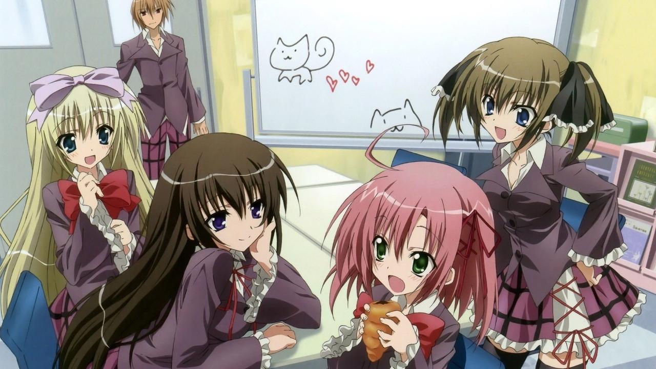 Vullneti i Këshillit të Studentëve backdrop