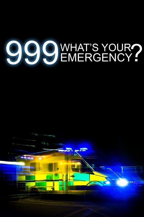 999: Cila është emergjenca juaj poster