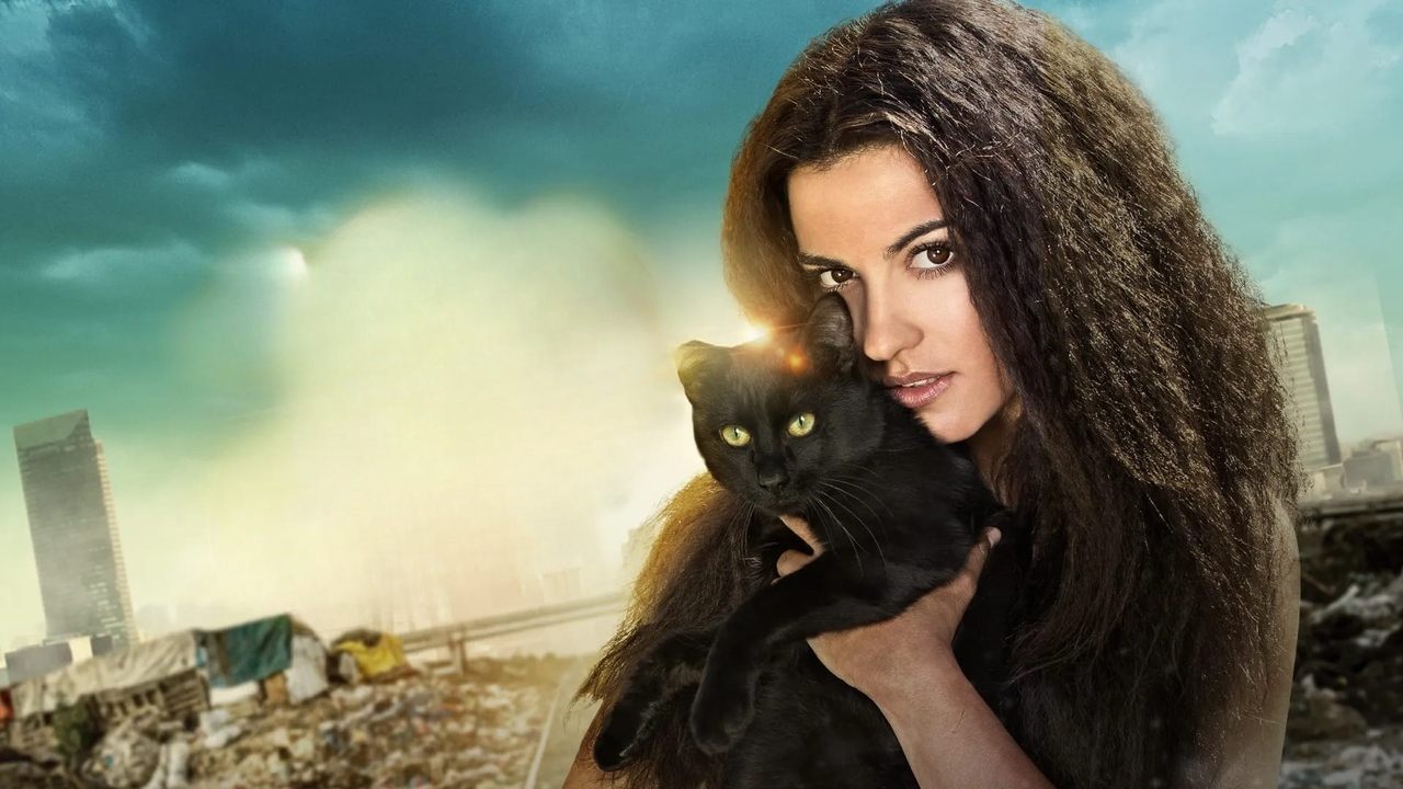 Macja e humbur backdrop