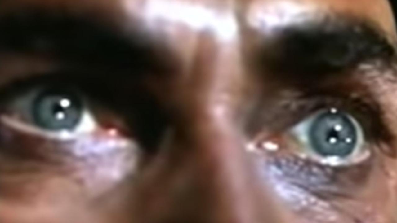 Fuqia e Fantazmave të Natës backdrop