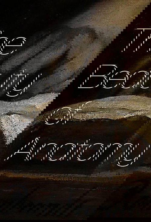 Bukuria e Anatomisë poster