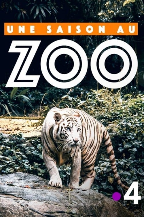 Një sezon në kopshtin zoologjik poster