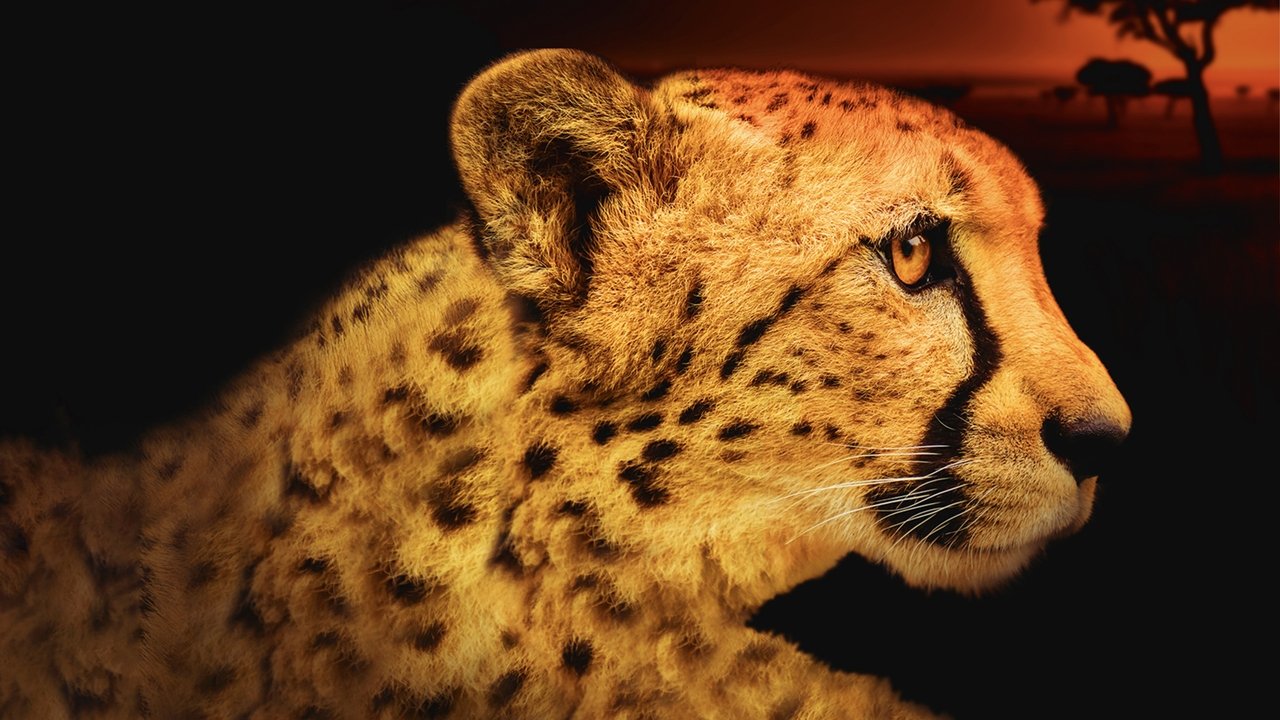 Vdekjet më të rrezikshme të Afrikës backdrop