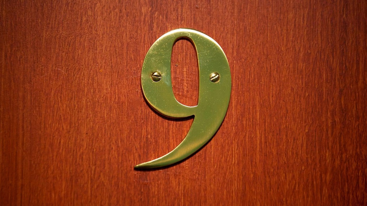 Brenda Numri 9 backdrop