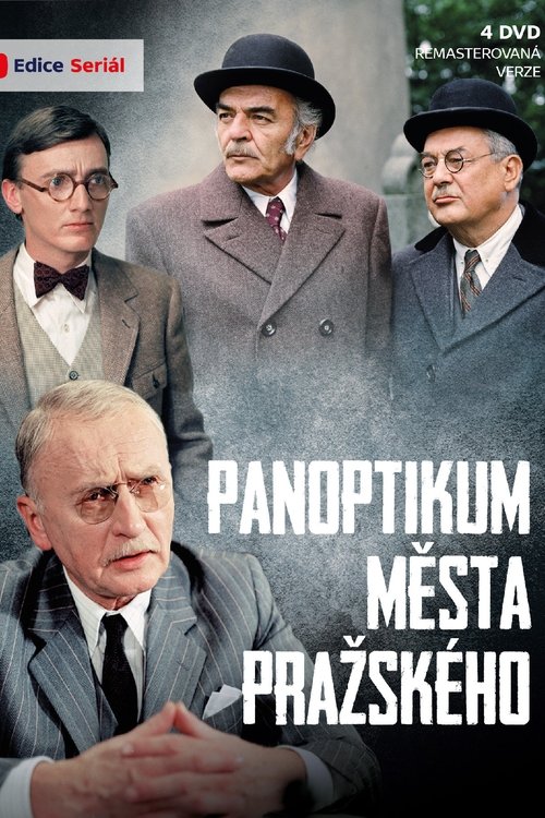 Një Nënbotë në Pragë poster