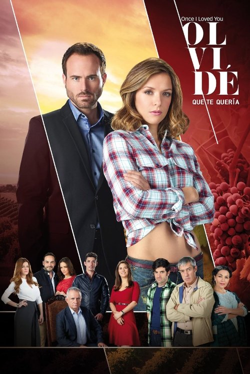 Rrugët e Guanajuato poster