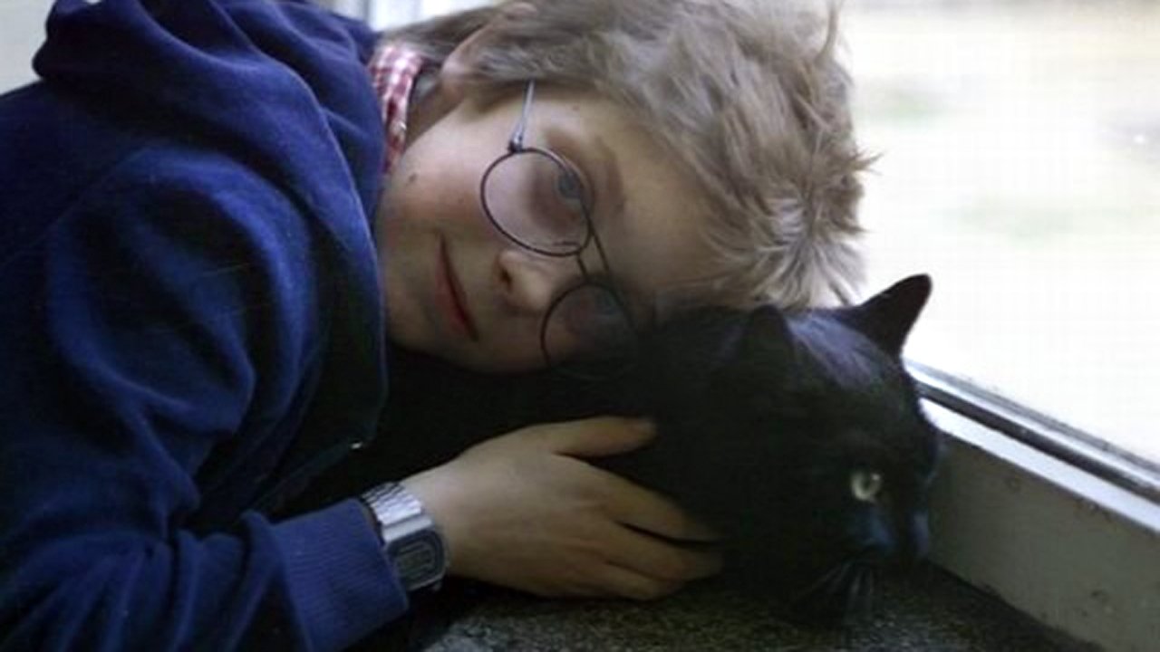 Shtatë dëshira backdrop