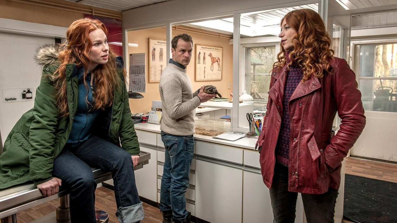 Veriu në Veri-Veriu backdrop