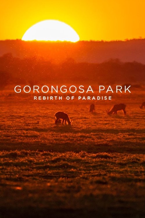 Gorongosa Park: Rilindja e Parajsës poster