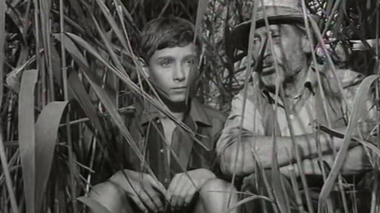 Kështjella e Thonjve backdrop