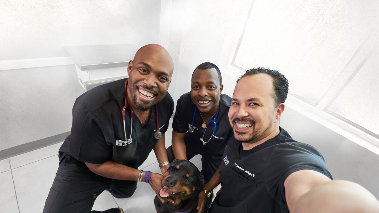 Jeta e Veterinarit backdrop