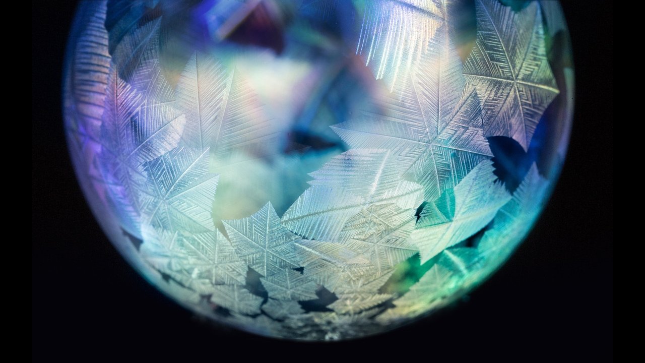 Forcat e Natyrës me Brian Cox backdrop